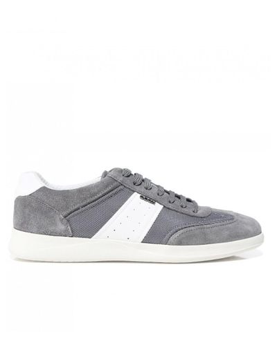 Geox Denim Suede Kennet Trainers in Grey (Gray) for Men - Lyst