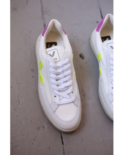 veja v12 b mesh