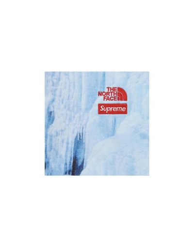 The North Face x Supreme Cotton Supreme 