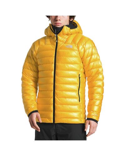 the north face summit l3 hoody down jacket