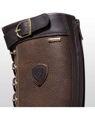 berwick ariat