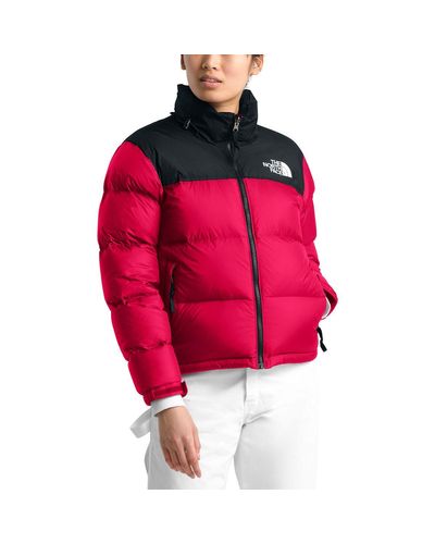 dark red north face jacket