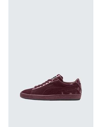 puma mac shoes