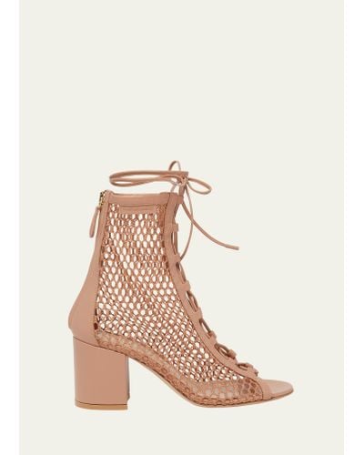 Gianvito Rossi Net Leather Lace-up Booties - Pink