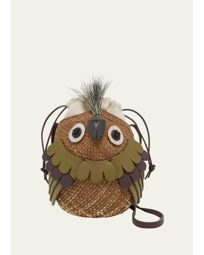 Loewe X Paula's Ibiza Bird Bag In Iraca Palm With Leather Strap - Metallic