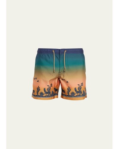 Thorsun Sunset Coyote Landscape Swim Shorts - Multicolor