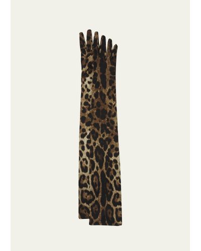 Dolce & Gabbana X Kim Long Leopard Print Satin Gloves - White