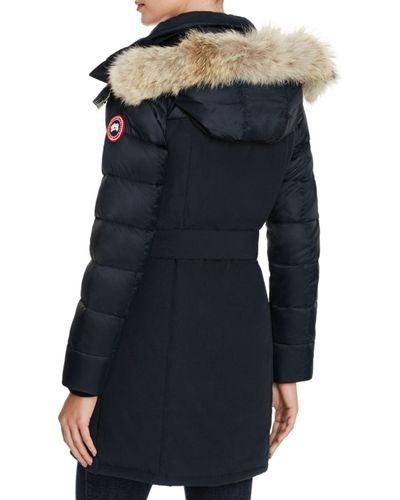 canada goose rowan