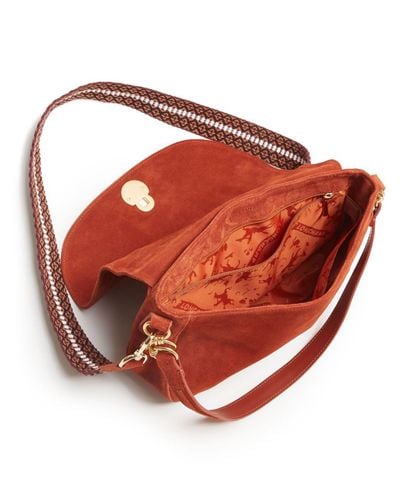 cavalcade wild longchamp