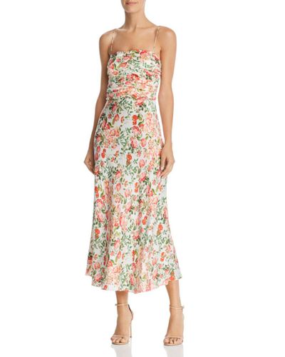 camellia delights dress
