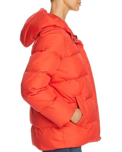 eileen fisher red jacket