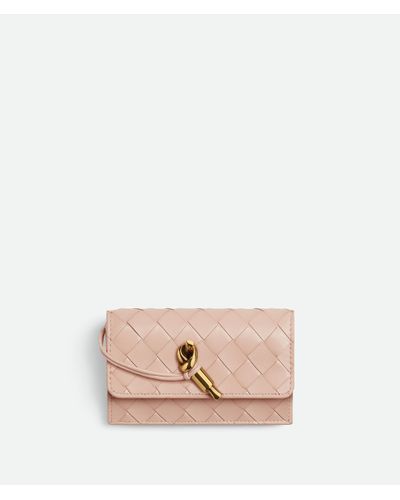 Bottega Veneta Andiamo Kartenetui Mit Reißverschluss - Pink