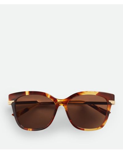 Bottega Veneta Classic Square Sunglasses - Brown