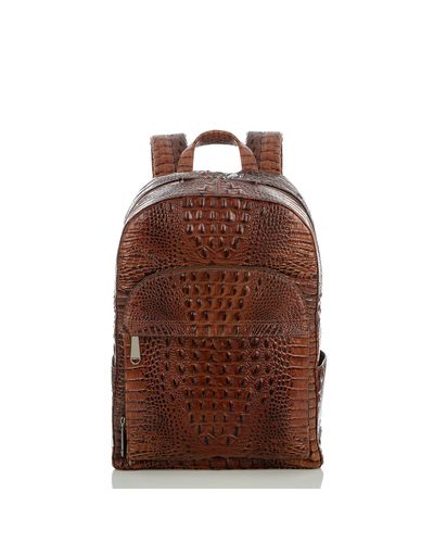 brahmin melbourne backpack