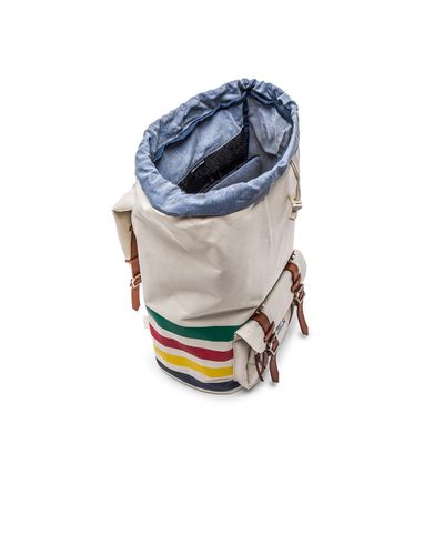 the bay herschel backpack