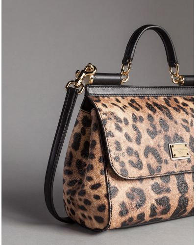 dolce and gabbana leopard bag