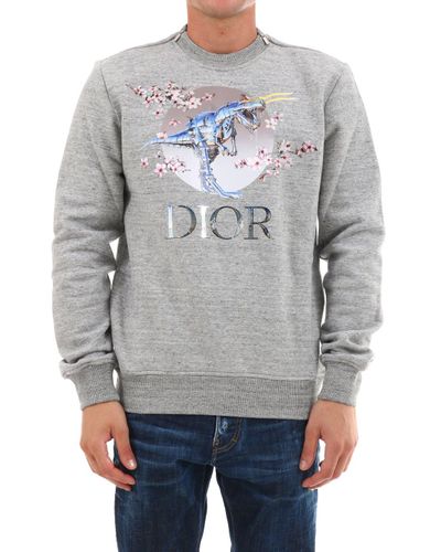 dior dinosaur