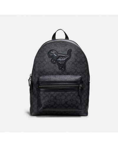 ibex laptop backpack