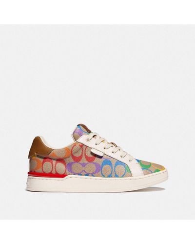 lowline low top sneaker in rainbow signature canvas