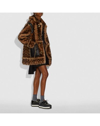 coach shearling moto jacket