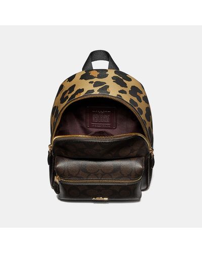 coach mini charlie backpack