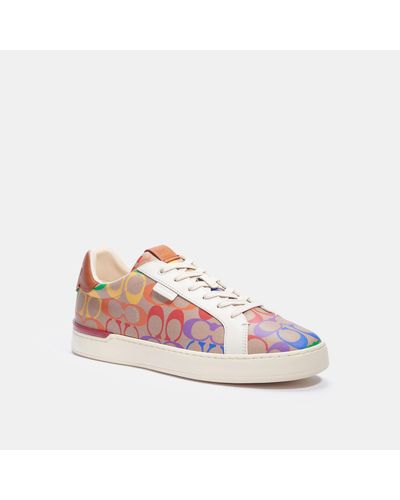 lowline low top sneaker in rainbow signature canvas