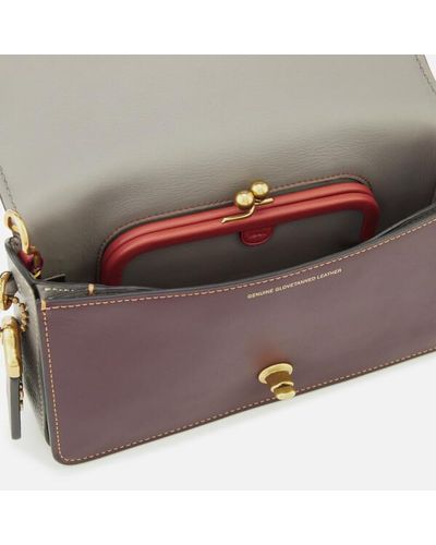 coach dinky colorblock