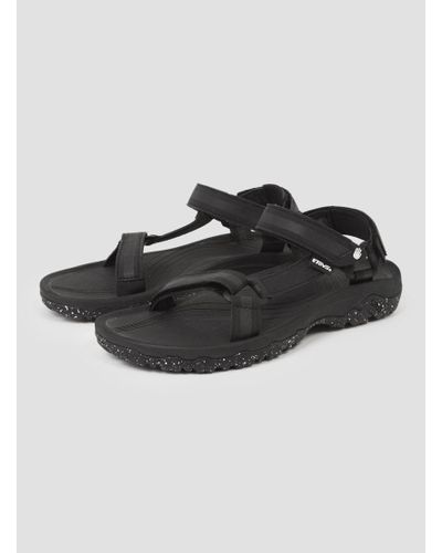 teva reflective