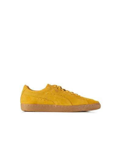 puma pincord,Limited Time Offer,slabrealty.com