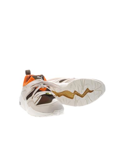 puma blaze of glory camping