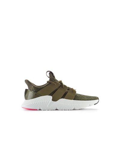 adidas Originals Prophere Olive in Green for Men - Lyst
