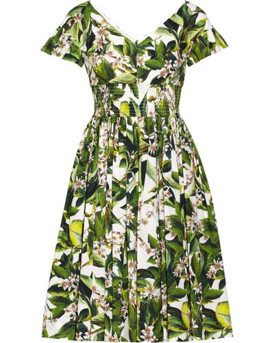 Dolce & Gabbana Orange Blossom-Print Cotton-Poplin Dress in Green - Lyst