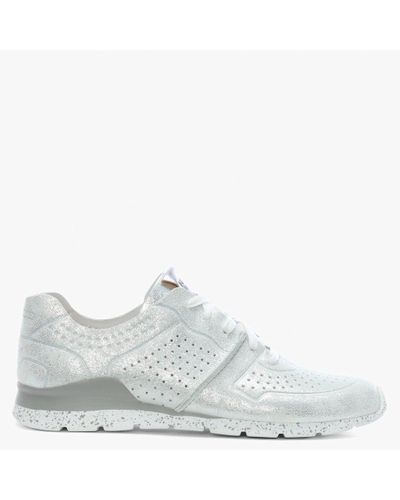 ugg sneaker stardust