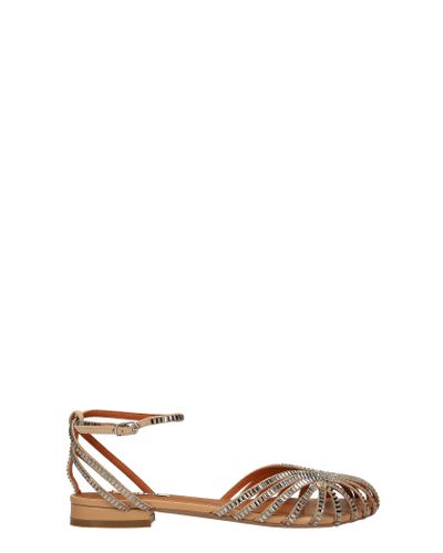 bibi lou flats in powder leather