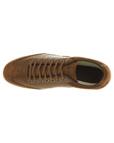 lacoste misano brown