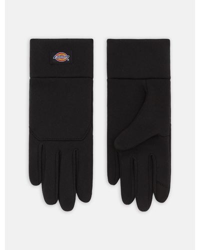 Dickies Oakport Touchscreen Gloves - Black