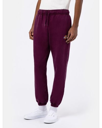 Dickies Mapleton Washed Sweatpant - Purple