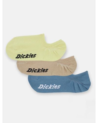 Dickies No Show Socks - Blue