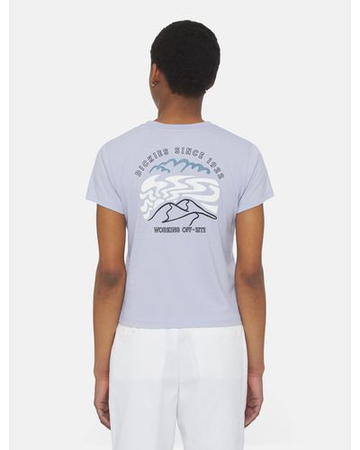 Dickies Saltville Short Sleeve T-shirt - White