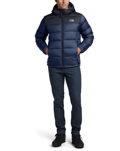 north face alpz luxe hooded jacket
