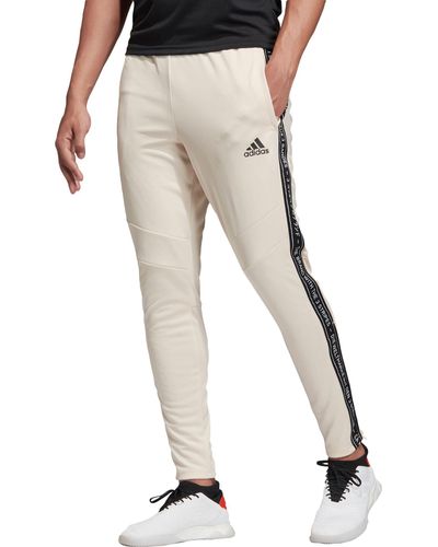 adidas Synthetic Tiro 19 Taped Training Pants (regular And Big \u0026 Tall) for  Men | Lyst