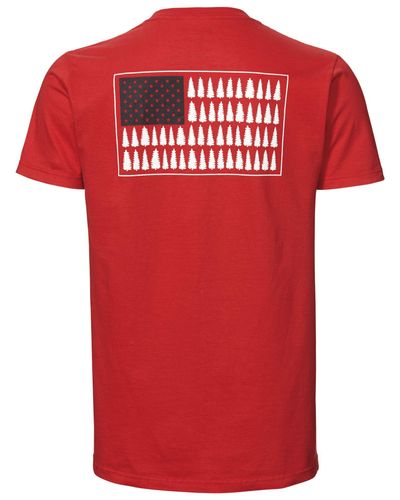 cheap plus size tees