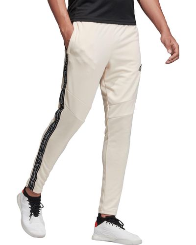 adidas women's tiro 19 tape pants