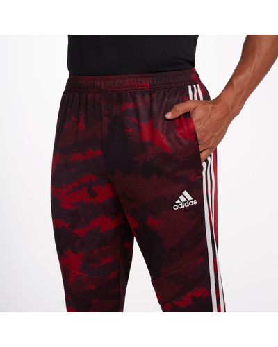 tiro 19 camo training pants red