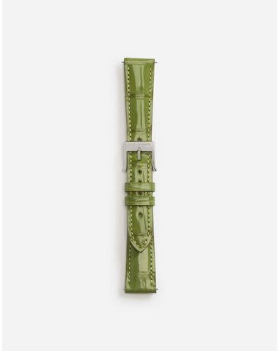 Dolce & Gabbana Alligator strap with buckle and hook in steel - Grün