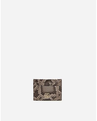 Dolce & Gabbana Python Leather Card Holder With Crossover Dg Logo - Multicolor