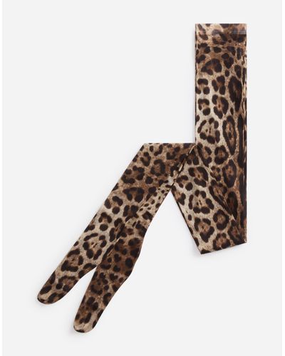 Dolce & Gabbana Leopard Print Tights - Brown