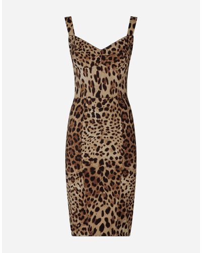 Dolce & Gabbana Leopard-Print Cady Corset-Style Midi Dress - Braun