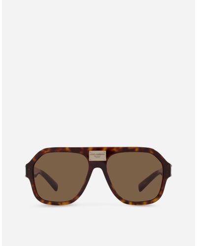 Dolce & Gabbana Dg Plaque Sunglasses - Brown