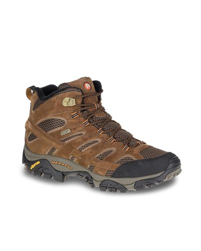 dsw merrell moab
